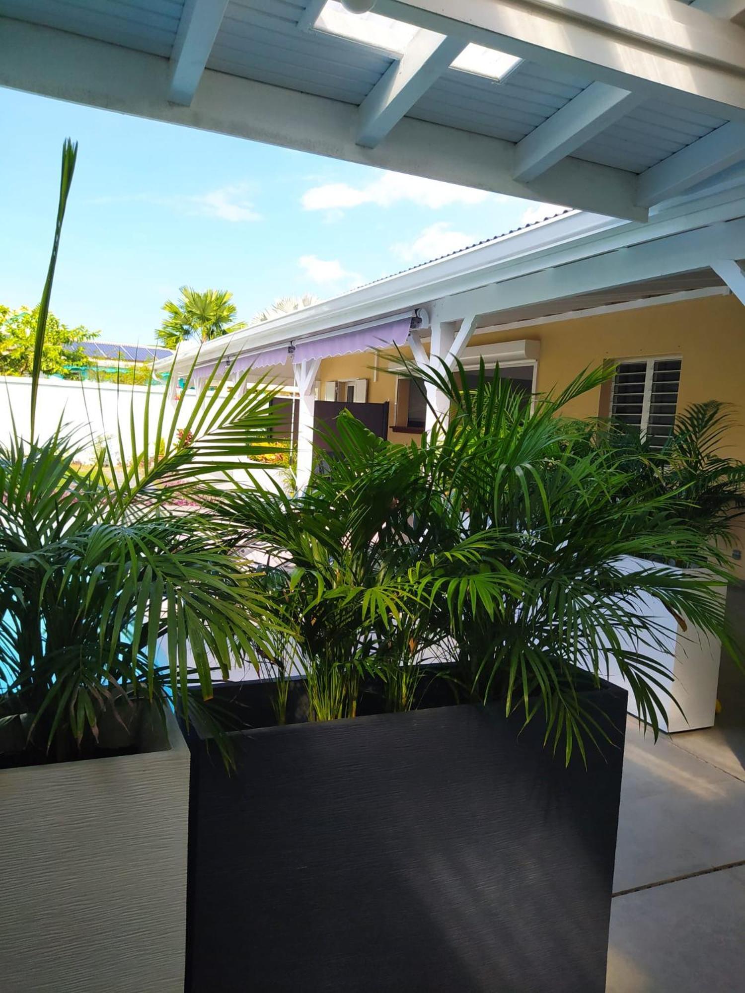Villa Creolena Anse-Bertrand Ngoại thất bức ảnh